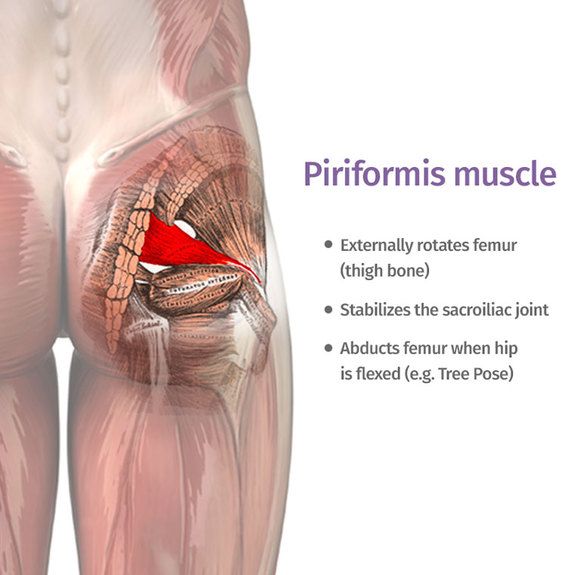 Piriformis Syndrome Exercises Videos Helping A Pain In The Butt