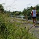 Path along River Barrow Ireland