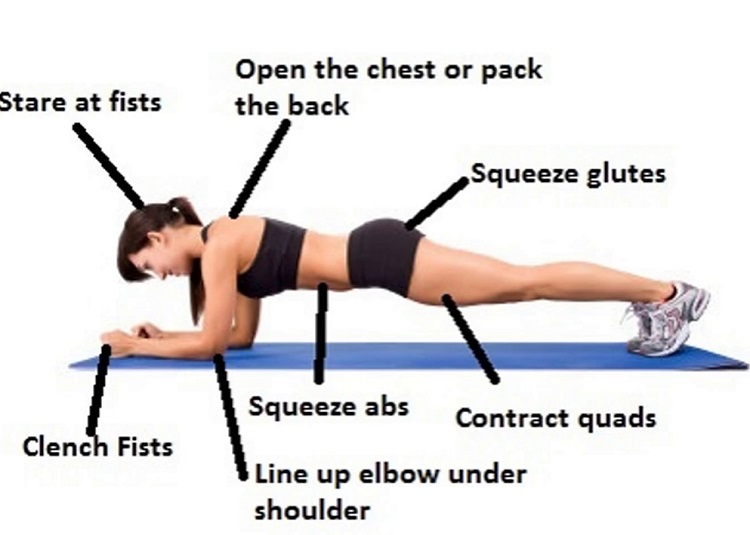 plank exercise benefits