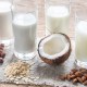 Diary free milk alternatives compared