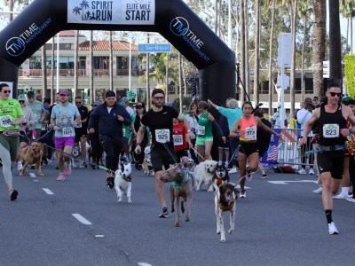 Newport Spirit Run 1 Miler