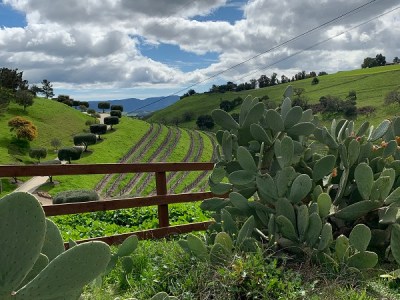 Santa Barbara Wine Valley