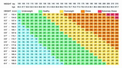 Ultimate Guide to the Best Body Fat Measurement Tools