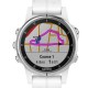 garmin fenix maps