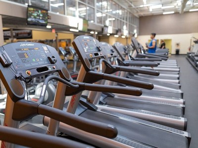 Treadmill Training Guide