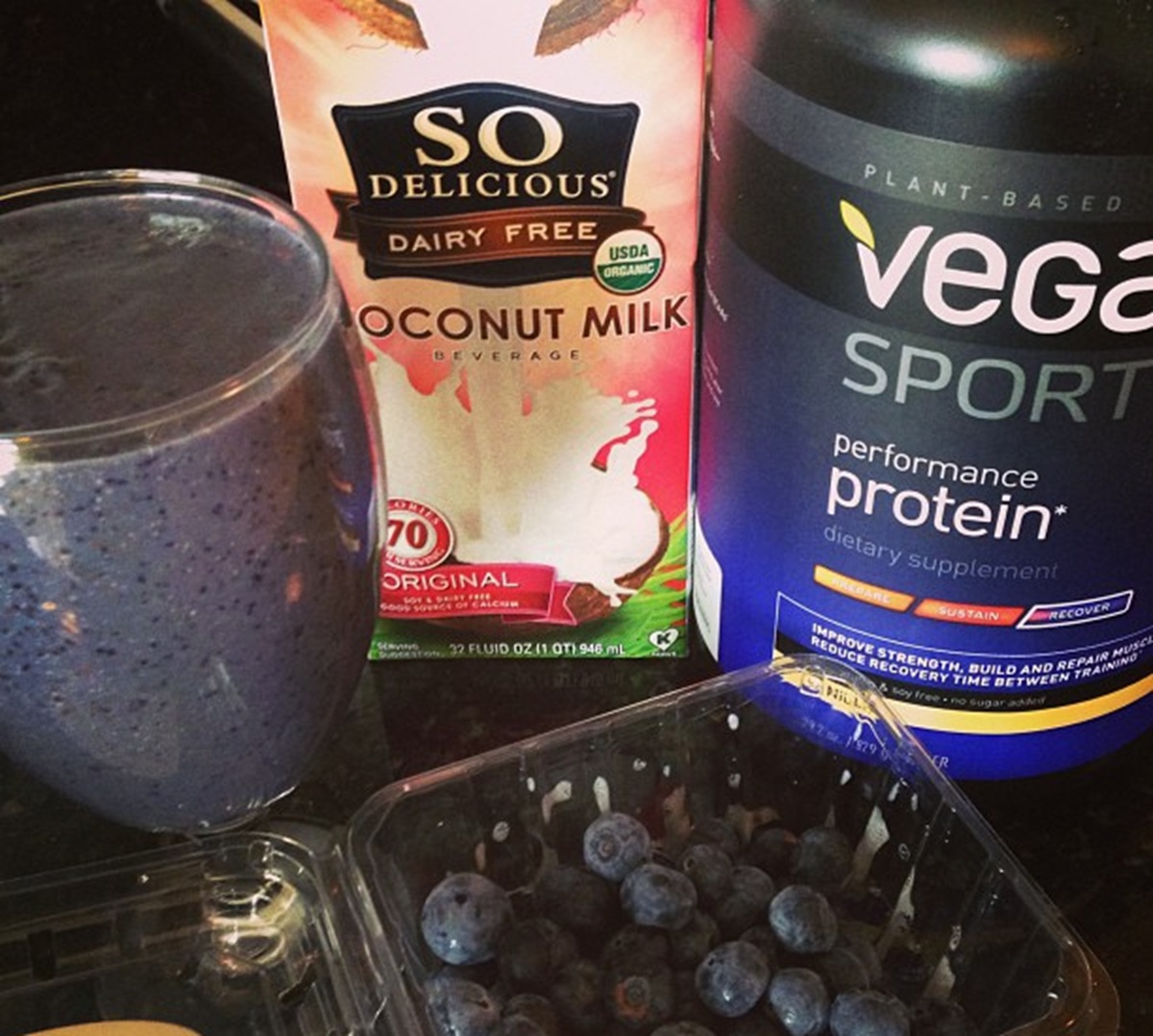 vega sport protein