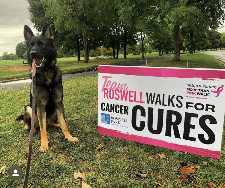 Walking a 5K: Beginners Training Guide + Plan - RunToTheFinish