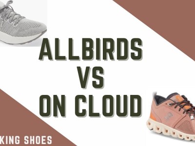 allbirds vs on cloud