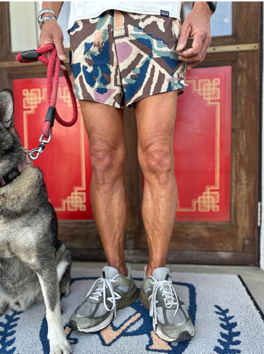 Patagonia Trailfarer Shorts