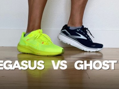 nike pegasus vs brooks ghost