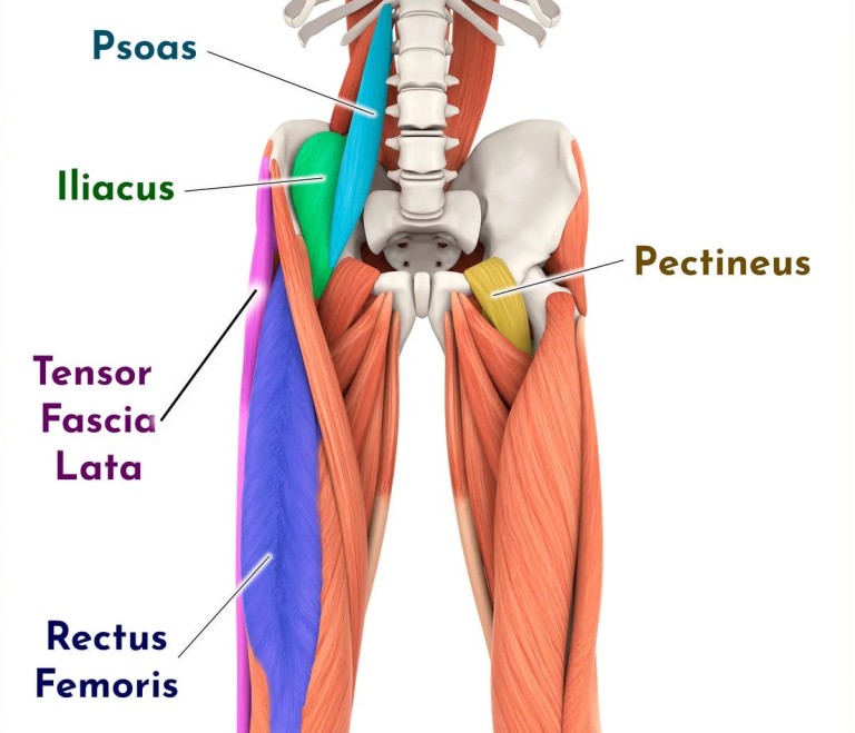 7 Key Hip Flexor Strength Exercises for Runners (Video Demo)