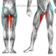 hip adductors vs abductors