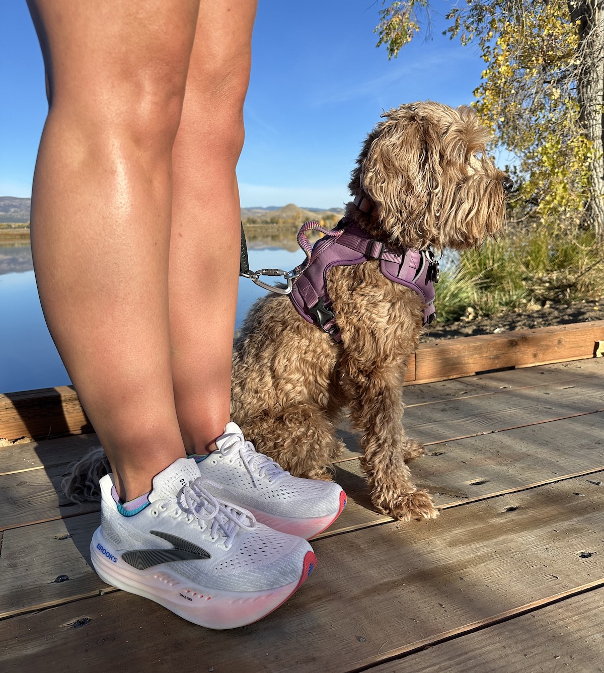 Brooks Glycerin Max Shoe Outdoors