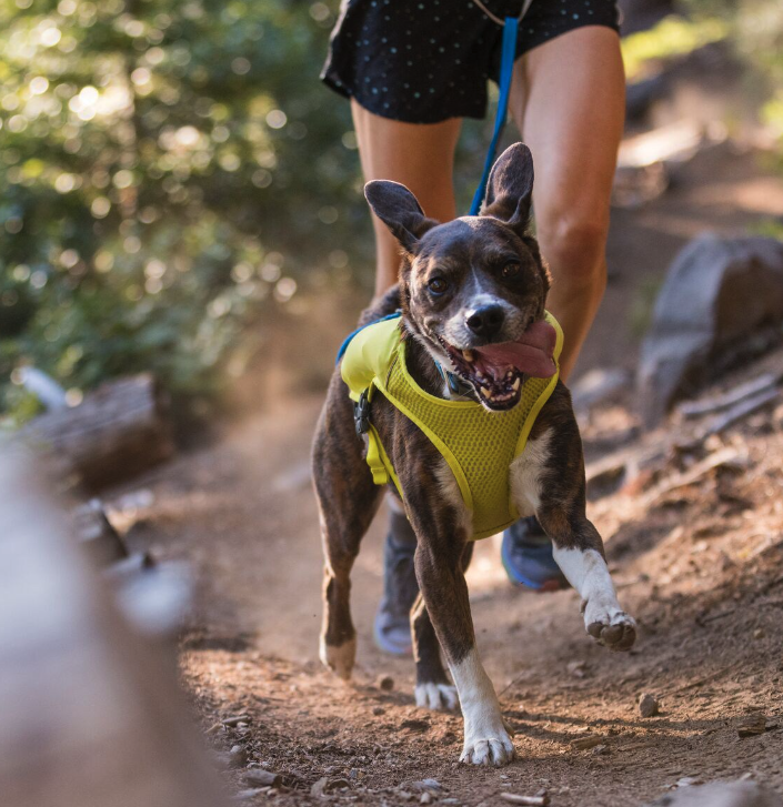 Ruffwear Trail Runner Dog Running Vest