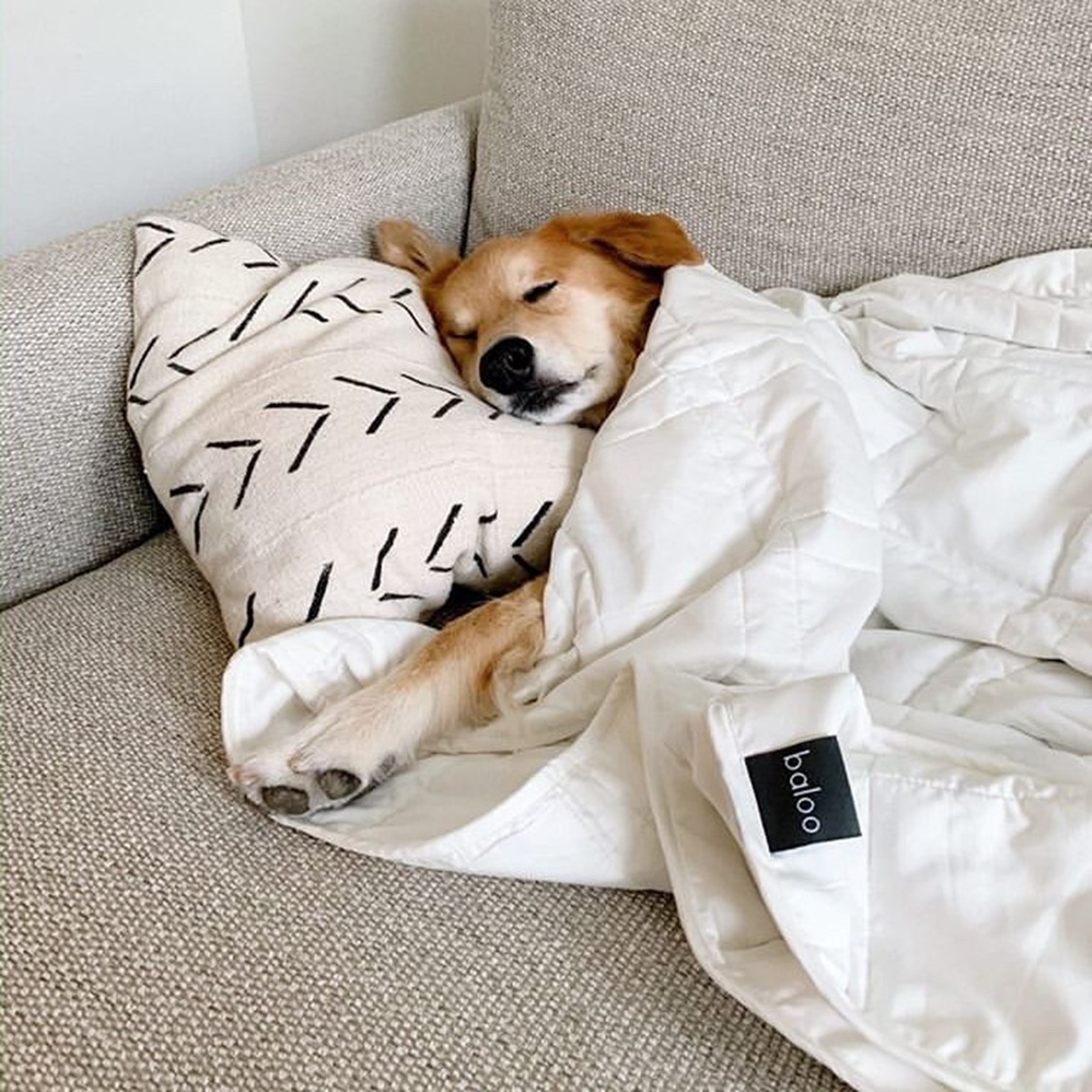 baloo weighted blanket