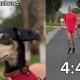 Georgie Dachshund Sub 5 Minute Mile