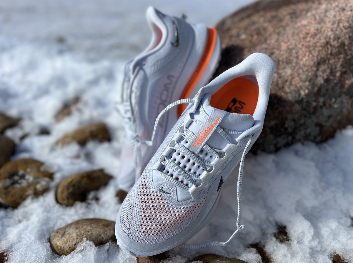 nike air pegasus at winter qs review