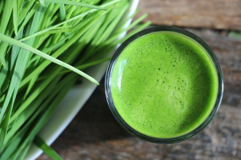 wheatgrass smoothie green