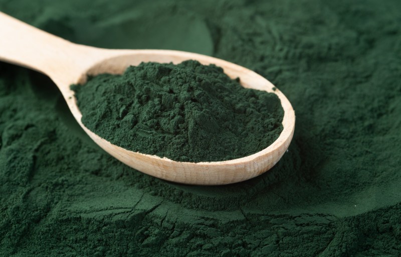 spoonful of spirulina powder
