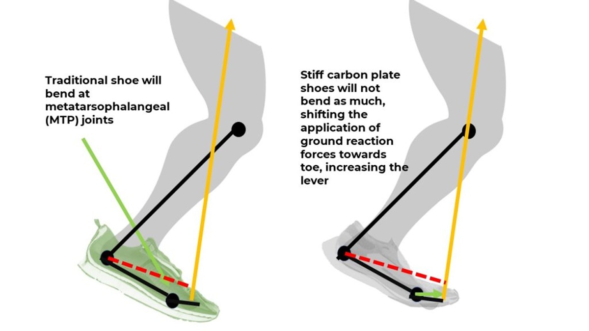 carbon plate shoe biomechanics