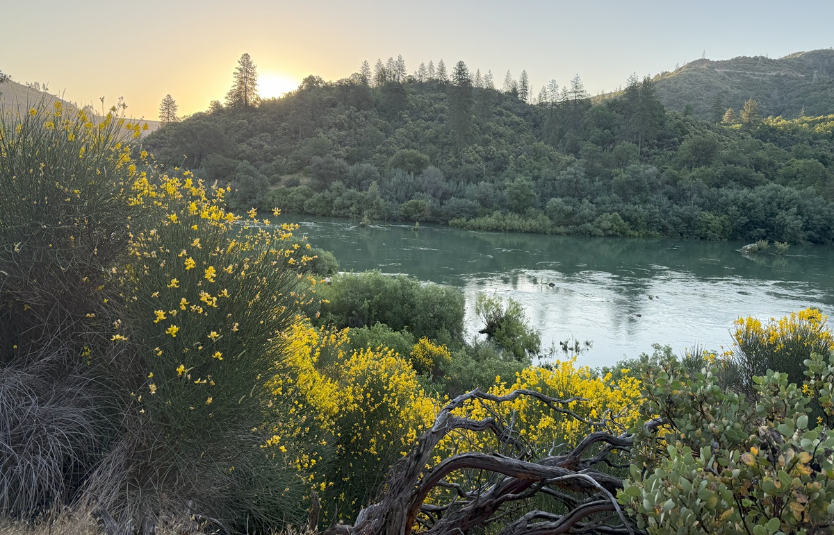 Redding California Trails