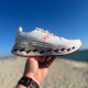 On CloudSurferMax Review