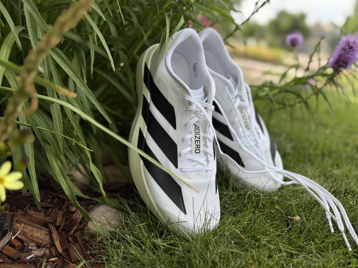 Adidas Evo SL Overview