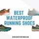 Best Waterproof Running Shoes