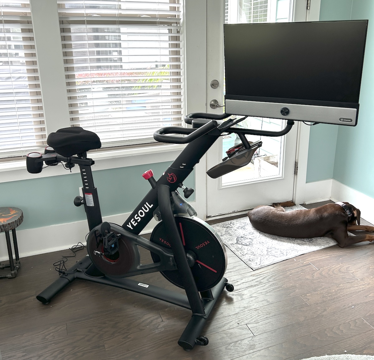 Yesoul G1M Review
