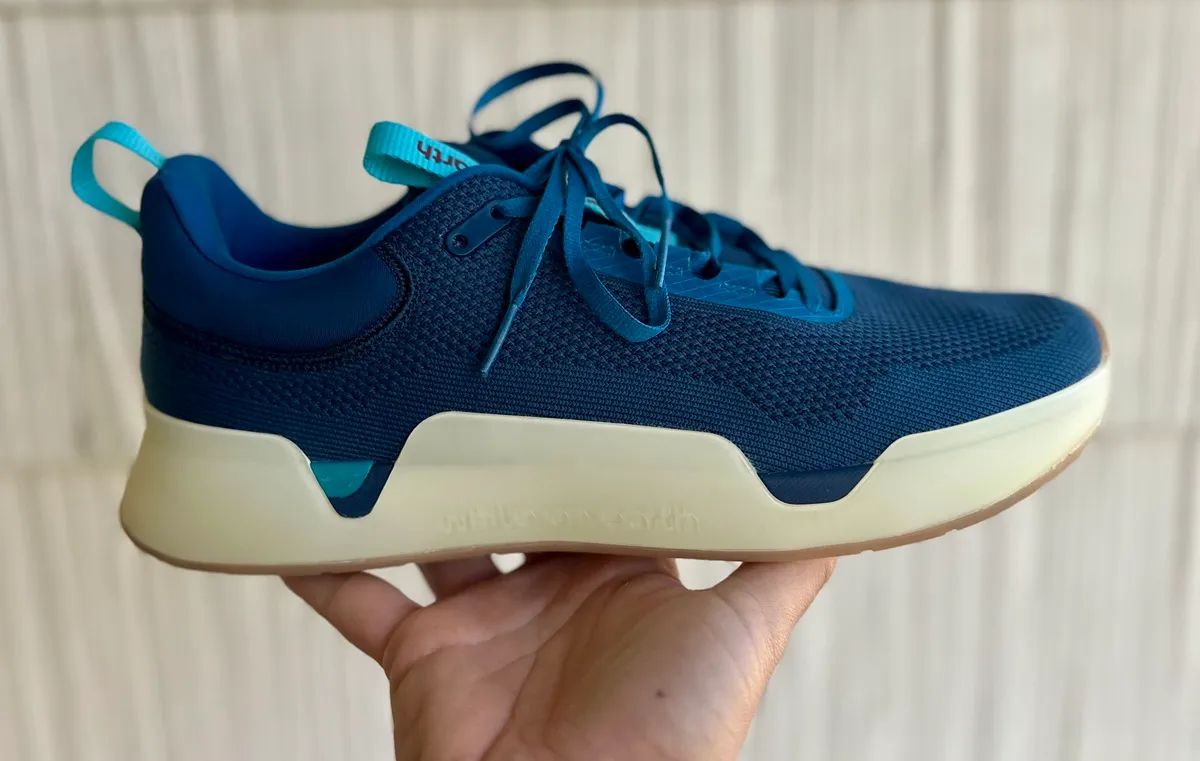 while on earth move trainer review