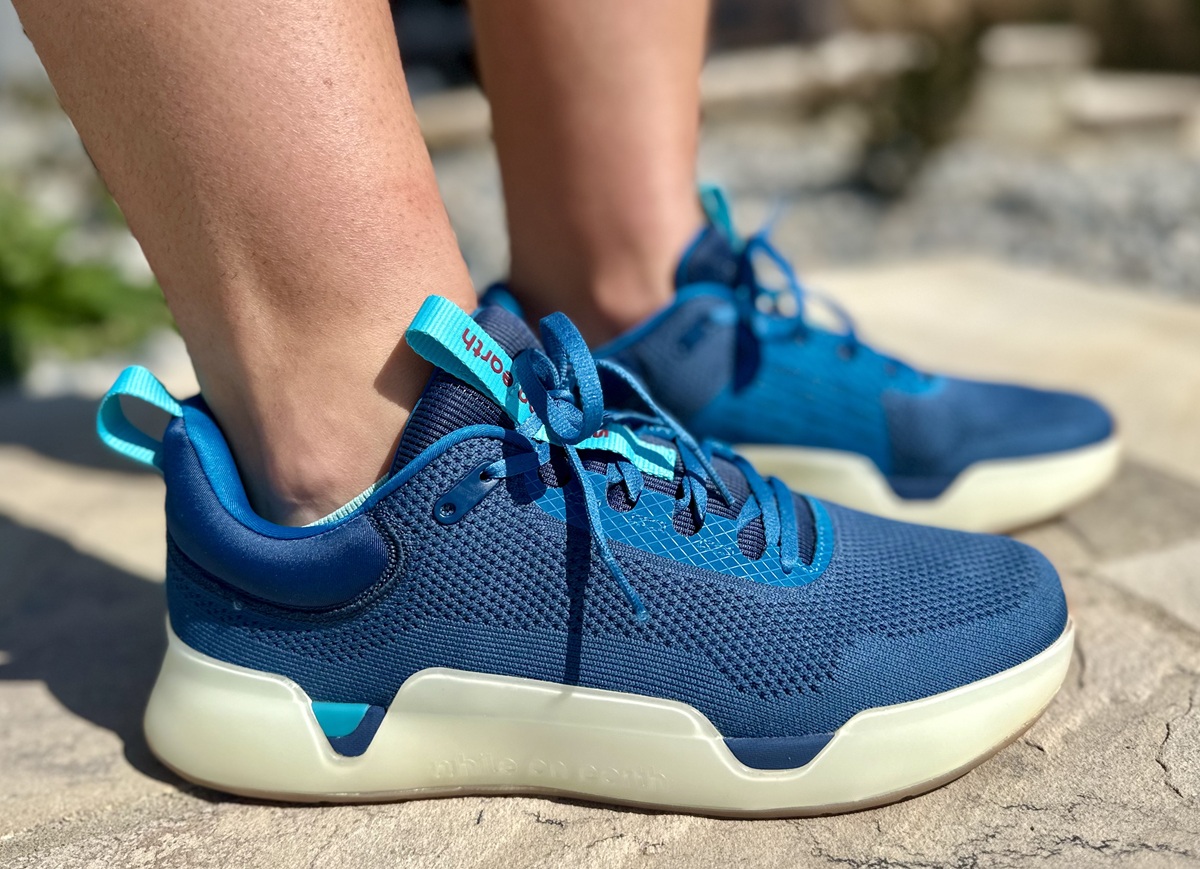 while on earth move trainer