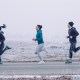 people running a fast, cool weather marathon