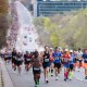 runners in the toronto waterfront half marathon