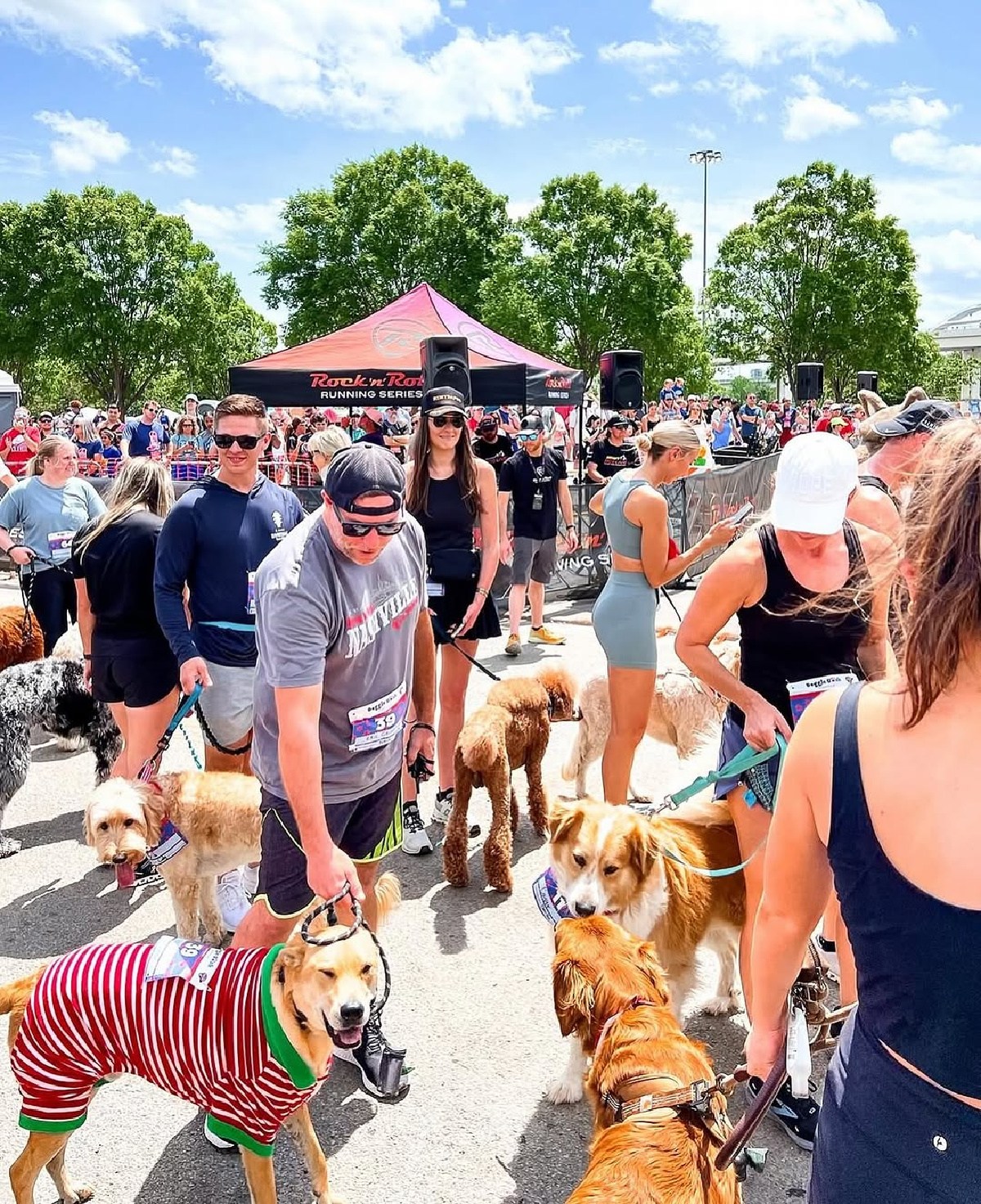 Dog Racing For Fun 12 Dog-Friendly Races from 5K to Ultra Where You Can Cross the Finish ...