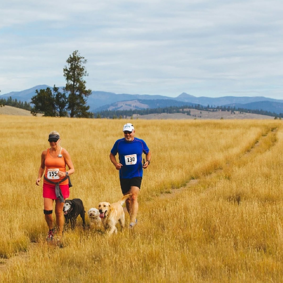 12 Dog-Friendly Races from 5K to Ultra Where You Can Cross the Finish ...