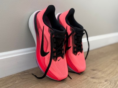 Nike Pegasus 42 Overview