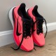 Nike Pegasus 42 Overview