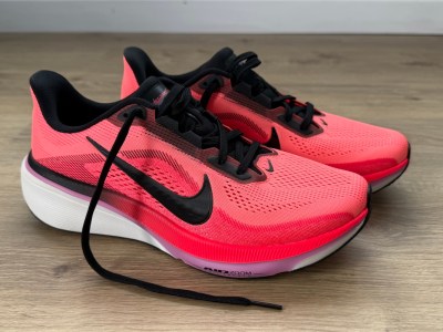 Nike Pegasus 42 Review