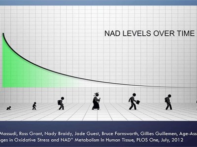 NAD Levels with age