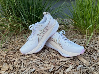 Asics Kayano 33 Cushion