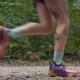 Keen Seek Run